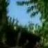 I M On Baeza