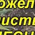Пожелтел чеснок Сделайте одну простую вещь и он снова станет зелёным
