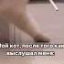 юмор смех приколы музыка смешно смешныевидео