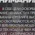 Данила Поперечный поп культура