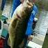 All Time Fishing Slideshow E C Brown Production