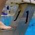 самый сложный прыжок в воду Swimming плавание спорт юмор Shorts ханты хантымансийск прыжок