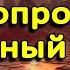 На какие вопросы придётся ответить каждому в Судный день религия ислам и мусульмане