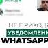 Уведомления Whatsapp не приходят Что делать