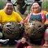 Evolution Of Cat Sumo Wrestler Woman Sitting On Dirty Road With Grasshopper Cat Cute Love Shorts