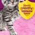 Whiskas Has A New Recipe For Your Kitten