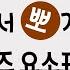 사회 혼뽀킹