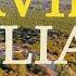David Goliath The Valley Of Elah