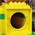 I Will Build A Zoo For You From Lego Family Lego Zoo Shorts