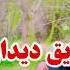 اخ مادر جانم ای وای امان از مسافری مصلح