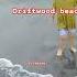 DRIFTWOOD BEACH Youtubeshorts Beach Waves Asmrsounds Sound Driftwood Olongapo Beachlife Summer