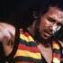 Survival Dub Version Bob Marley The Wailers SURVIVAL76