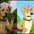 Honey Bunny Ka Jolmaal Real Life Character Part 2 Shorts Short Shortvideo Viralshort Subscribe