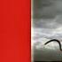 04 Depeche Mode Nothing To Fear Dts