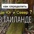Советы бывлого путешественника Лучшие экскурсии в Паттайе экскурсиивпаттайе