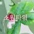 영상찍으면 잘나오는 타워 로블록스 로블계 윤블리의행복일상 윤블리 게임방송