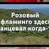 Розовый фламинго Cover By STAYSY Lyrics Shorts