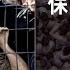 Vol 166 人群踩踏保命指南