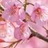 10 Hours Of Relaxing Music Sleep Music Soothing Piano Music Sleeping Music