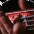 Cryptopsy Until There S Nothing Left Bass Playthrough By Oli Pinard