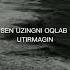 тасирли гаплар Shorts Love Like
