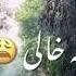 شهر خالی جاده خالی کوچه خالی خانه خالی به آواز زیبای رضا بهرام