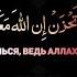 твой маленький дом Мечта каждого бездомного