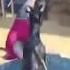 Удалённые видео ивангая иван ведёт программу топ 5