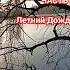 Владимир Песня Летний Дождь Прогулка часть 3 по поселку Норвегия шансон2024 песниолюбви Shorts