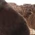 Watch A Mole Dig Tunnels In The Mole Farm Live Trapping Moles Mousetrap Monday