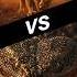 Celestial Battle Lion Vs Mythic Beasts 10 Insane Battles In Ultra 8K Animation