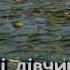 ВОДОГРАЙ караоке Українська народна пісня Ukrainian Folk Song Karaoke