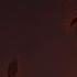 Warlord Colossus They Think I M Joking Prod Netuh