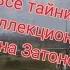 S T A L K E R ОП 2 1 2 2 Все тайники Коллекционера на Затоне