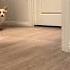 Funny Dog Walking Sound Effect
