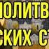 Молитва Оптинских старцев
