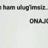 Onajon