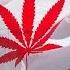 袁腾飞聊大麻合法化 解药还是毒药 循迹漫聊 190624