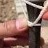 Nice I Trust This Knot