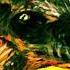 New 2021 Unreleased Songs Tore Fagerheim Metal Instrumentals