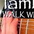 Lamb Of God Walk With Me In Hell Guitar Cover