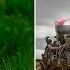 Заброшенная ферма теперь моя в Farming Simulator 25