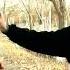 Alisher Azamat SIR SEZIM