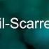 The Nail Scarred Hand With Lyrics