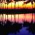 Emotion Come On Original Mix