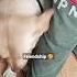 Friendship Shorts Tiktok Like Love Pets Cute Bestfriend Friendship Pascal Pascalletoublon