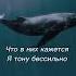 Cheshirsky Синий кит Newmusic Recommended Release Music Track Newtrack