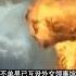 海灣戰爭前 錢琪深赴伊勸說薩達姆 對方揚言 這和香港情況一樣 歷史 歷史故事 中國歷史 中國 黃埔軍校