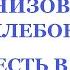 НАША СИЛА В НЕОРГАНИЗОВАННОСТИ Трехлебов А В Ведагор 2021 2022