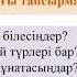 Қазақ тілі оқыту қазақ тілінде 5 сынып бейне 6